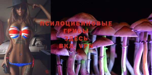 метамфетамин Липки